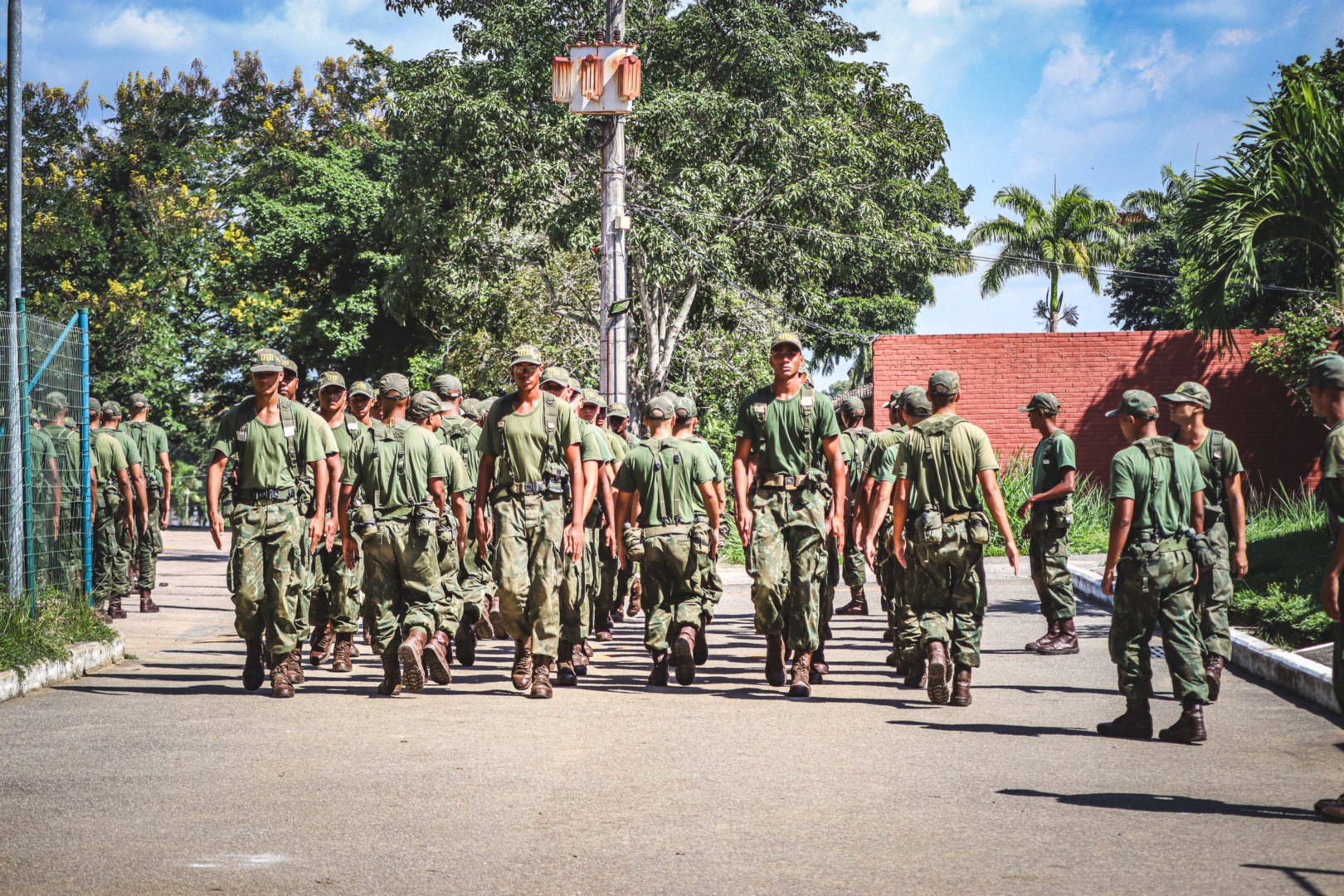 UNIDA5CIA2PEL-294